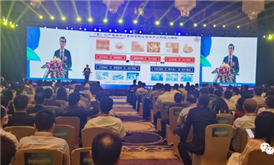 魏少军:最近中国半导体很热，热的有点不像话