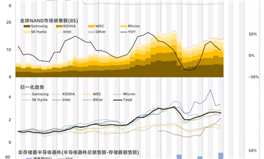 全球存储器芯片市场销售数据(2020Q4)