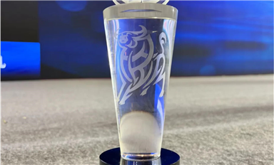 芯查查荣膺2021“卓越电子信息产业大数据平台” 奖项