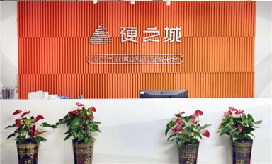 萨科微代理商展播--硬之城