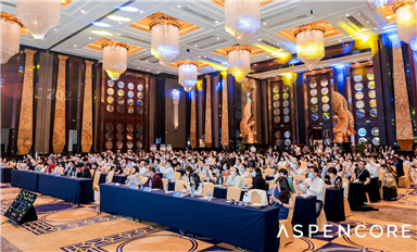 踔厉奋发，探索新前沿 国际集成电路展览会暨研讨会（IIC Shenzhen 2022）圆满落幕