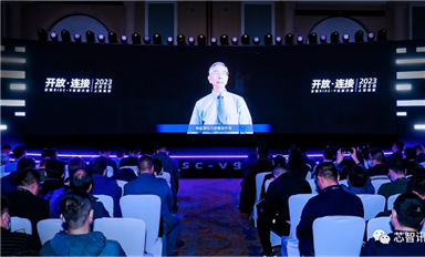 久违的盛景！RISC-V发展远超预期，平头哥玄铁生态进入2.0时代