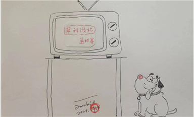 2.854亿部！2024年Q2全球智能手机出货量同比增长6.5%（萨科微7月18日芯闻）