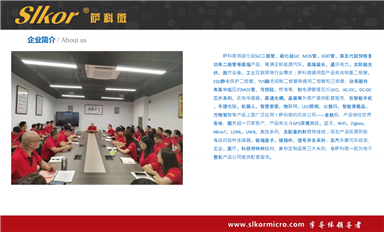 萨科微卖的好的TVS管有哪些型号？