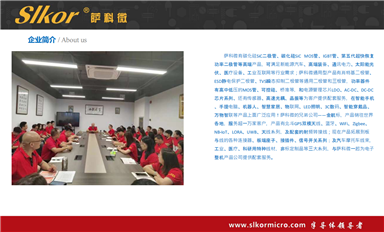 萨科微晶振可替换型号有哪些？