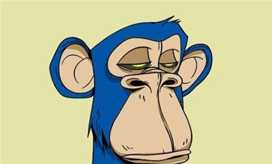 芯片回国路：从硅谷精英到国产逆袭的酸甜苦辣