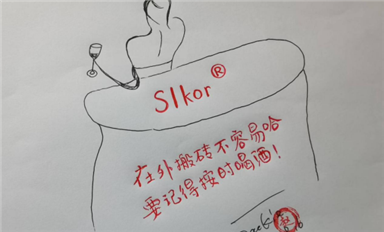 阿里云携手中国科学院地化所发布首个月球专业大模型（萨科微8月31日每日芯闻）