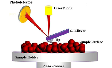 为什么器件失效分析需要AFM机台？