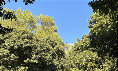 萨科微梁仙：最好的风水是人品