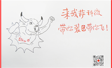 活用经济学社会学管理学理论，带动萨科微和金航标高速发展！