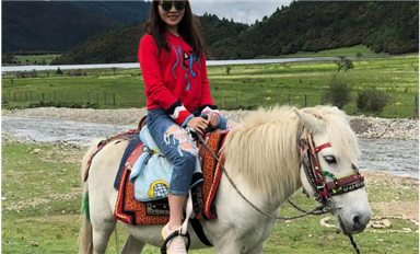 萨科微罗燕萍：最美还是归乡路