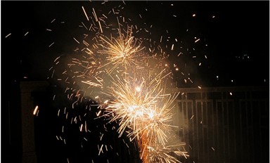 萨科微林慧怡：春节“家里蹲”年味记