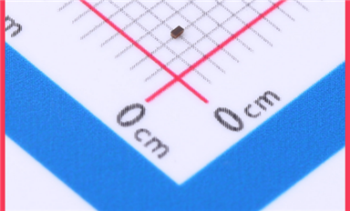 微型化浪潮下的静电守护者：SLPESD0201M42在消费电子中的应用突破