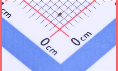 智能窗帘系统中的静电力场守护者：SLPESD0201M24的精密防护之道